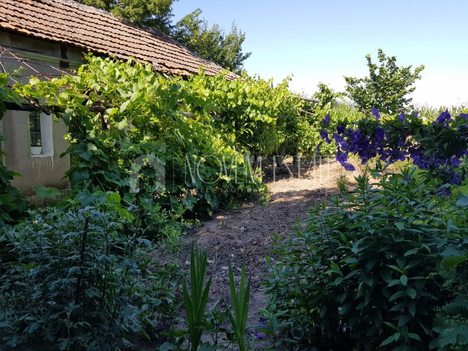 Teren cu suprafata de 2221 mp si locuinta batraneasca, Chirnogeni