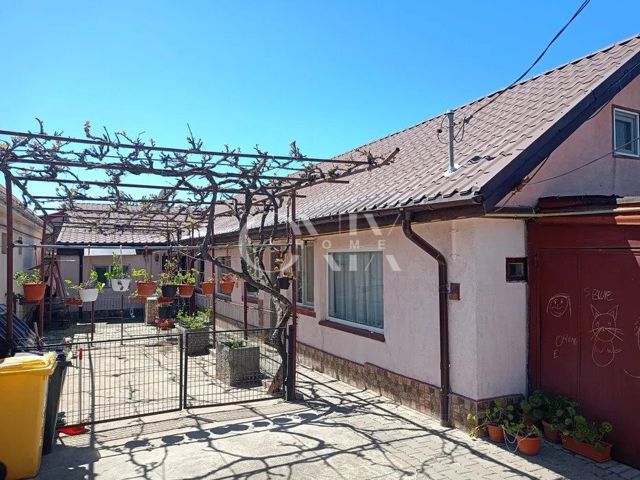 Casa Viile Noi,  6 camere, 579 mp