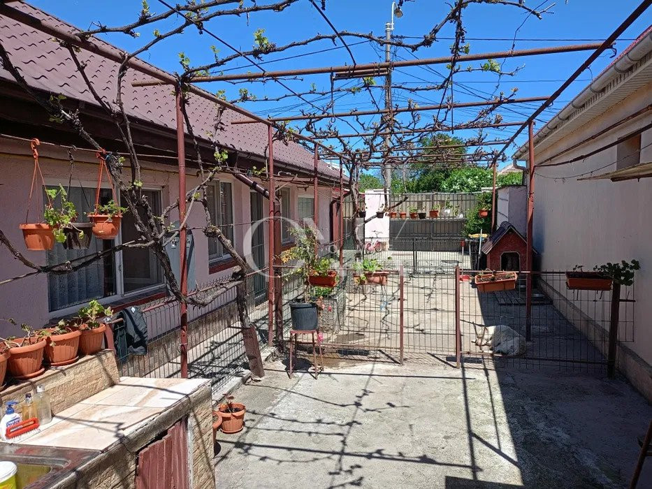 Casa Viile Noi,  6 camere, 579 mp