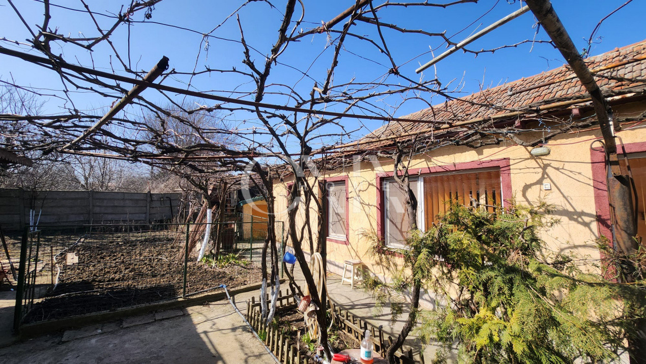 Casa 3 camere, Viile Noi ,teren 461 mp