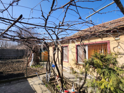 Casa 3 camere, Viile Noi ,teren 461 mp