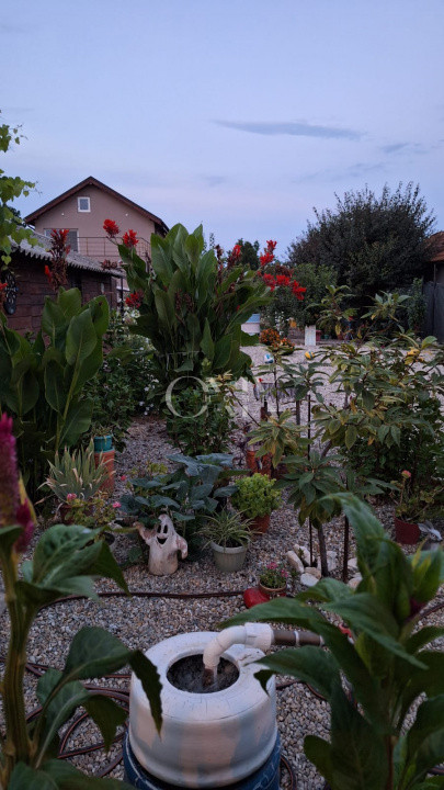 Proprietate Exclusivă de Vânzare în Palazu Mare – 1.412 mp teren
