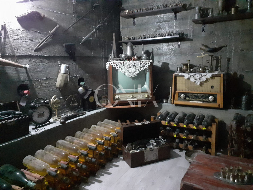 Proprietate Exclusivă de Vânzare în Palazu Mare – 1.412 mp teren