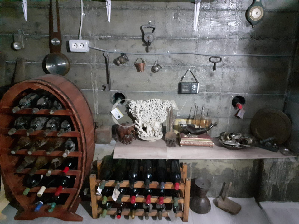 Proprietate Exclusivă de Vânzare în Palazu Mare – 1.412 mp teren