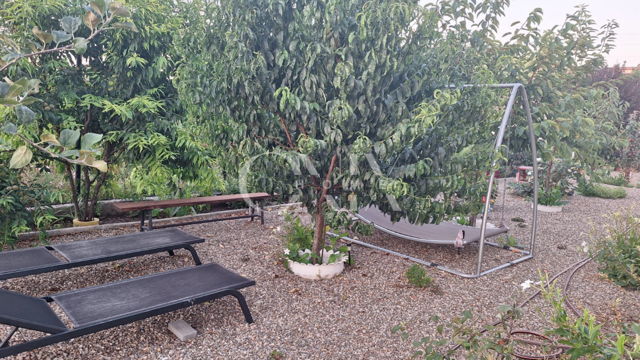 Proprietate Exclusivă de Vânzare în Palazu Mare – 1.412 mp teren