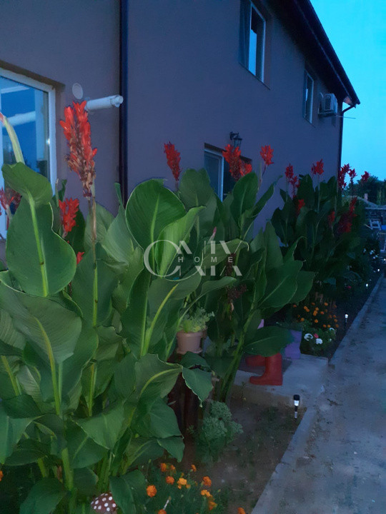 Proprietate Exclusivă de Vânzare în Palazu Mare – 1.412 mp teren