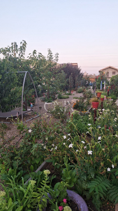 Proprietate Exclusivă de Vânzare în Palazu Mare – 1.412 mp teren