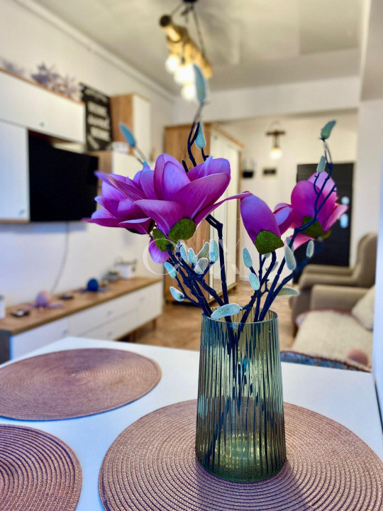 Apartament 2 camere Building Stefan, Mamaia Nord
